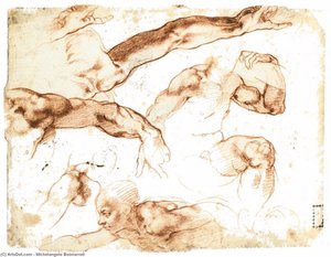 Diverse Studie Av Figurer Og Lemmer (bakside) — Michelangelo Buonarroti