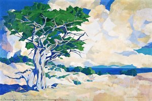 Monterey Cypress — Francis John Mccomas
