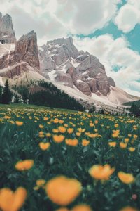 Ephemeral Gold Amidst The Eternal Peak — Jacques Villedieu