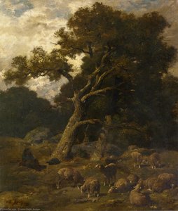 Shepherd and his Sheep in Fontaineblelau Forest