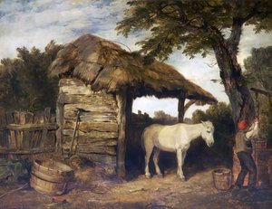 Rustic Shed