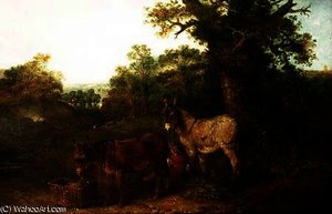 Donkeys in a Glade