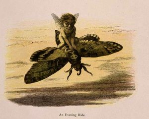 An Evening Ride — Richard Doyle