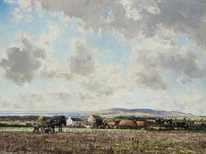 Finn's Land