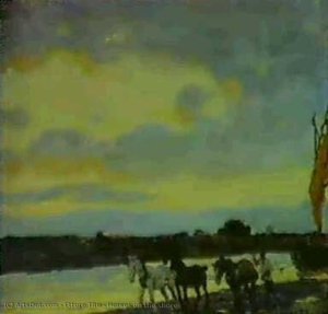 Horses on the shore