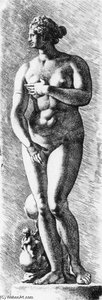 The Medici Venus — Jan De Bisschop