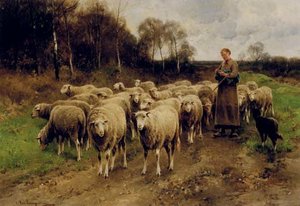 Shepherdess With Her Sheep