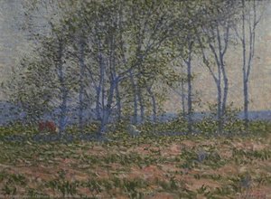 Feuilles de printemps