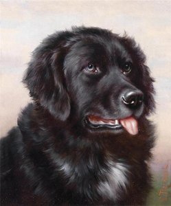 Newfoundland
