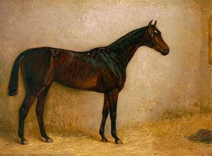 Hauteur — Arthur Louis Townsend