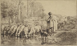 Ovce Piti — Charles-émile Jacque
