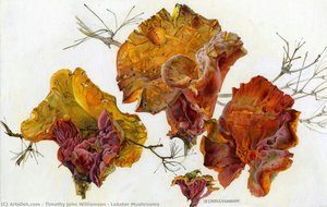 Lobster Mushrooms — Τιμόθεος Γουίλιαμσον