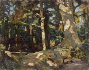 Forest Scene