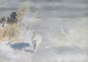 Winterhare (Snow Hare), (1932)