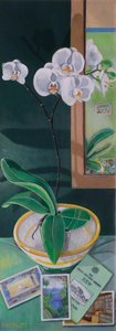 White Orchid Reflections — Stephen Nicoll