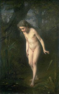Miroir des bois