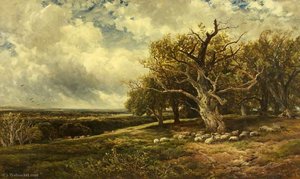 Landscape Across the Valley