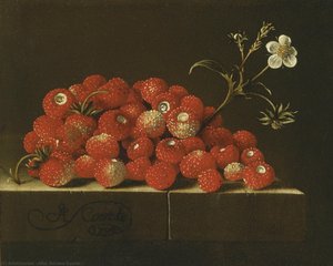 Untitled (aqrd9w) — After Adriaen Coorte
