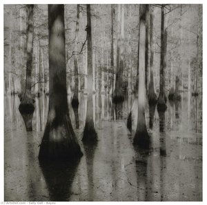 Bayou