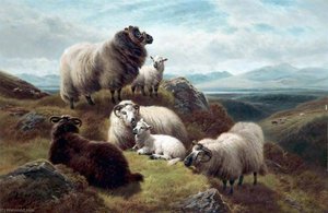 Spring, Glen Fyne, Argyllshire
