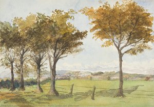Manx Landscape With Trees — 조지나 고어 커리