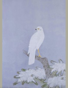 Title Name (japanese): 白鷹ⅰ — Atsushi Uemura