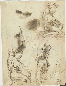 Drei Studien Und Eine Skizze Einer Männlichen Figur, Sowohl Nackt Als Auch Bekleidet (für „stigmatisierung Des Heiligen Franziskus“, Urbino, Galleria Nazionale Delle Marche); Profil — Federico Fiori Barocci