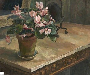 Flowers in a Pot