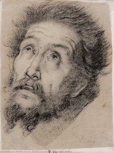 Study For St Francis Of Assisi Adoring The Cross — Bernardo Strozzi