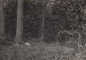 Scene of General McPherson's Death from the album Photographic Views of Sherman's Campaign