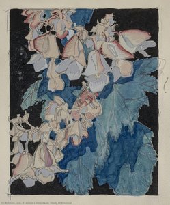 Study Of Wisteria — Franklin Carmichael