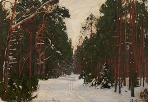 Winter forest
