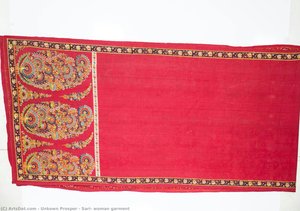 Sari- Woman Garment — Unkown Prosper