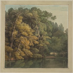 Trees in Peamore Park, Exeter