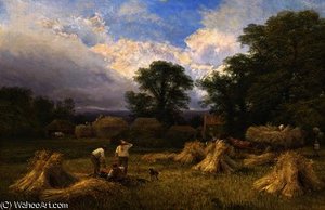 Harvest time