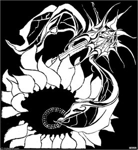 Sunflowers — Maurits Cornelis Escher