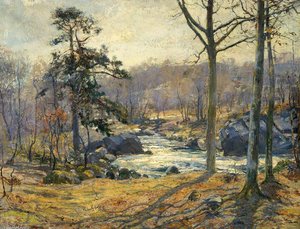 Winter Sunshine