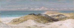 Lair Of The Sea Serpent — Elihu Vedder