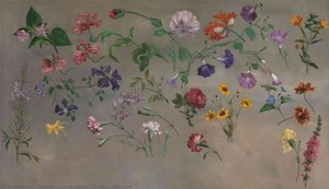 Studies Of Flowers