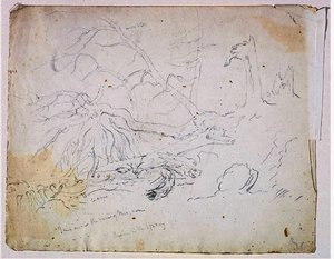 Landscape6