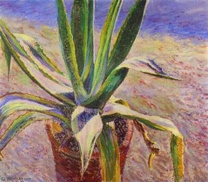 Agave — Victor Borisov Mtov