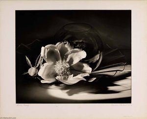 White Peony — Grace M Ballentine