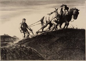 The Plowman
