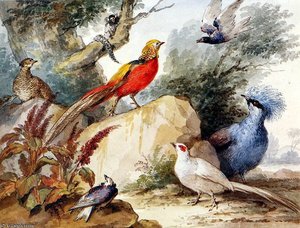 Birds in landscape Sun