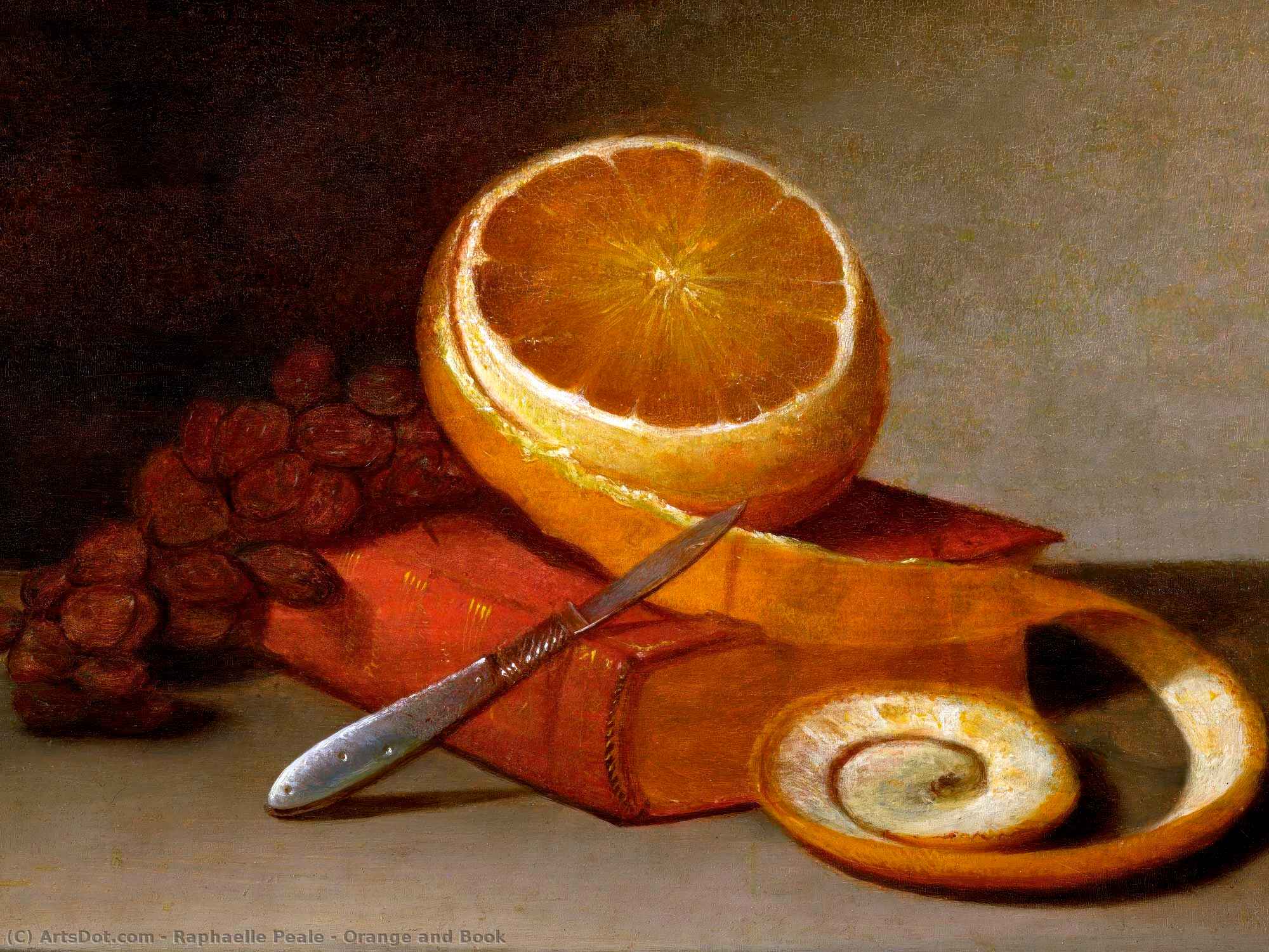 Orange And Book — Рафаель Піль