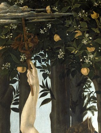Primavera - (15) — Sandro Botticelli