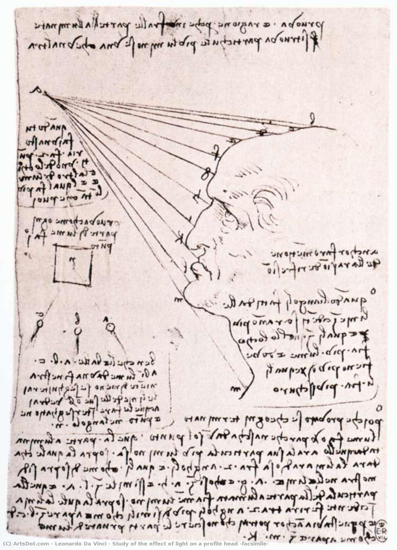 Study Of The Effect Of Light On A Profile Head (facsimile) — Leonardo Da Vinci