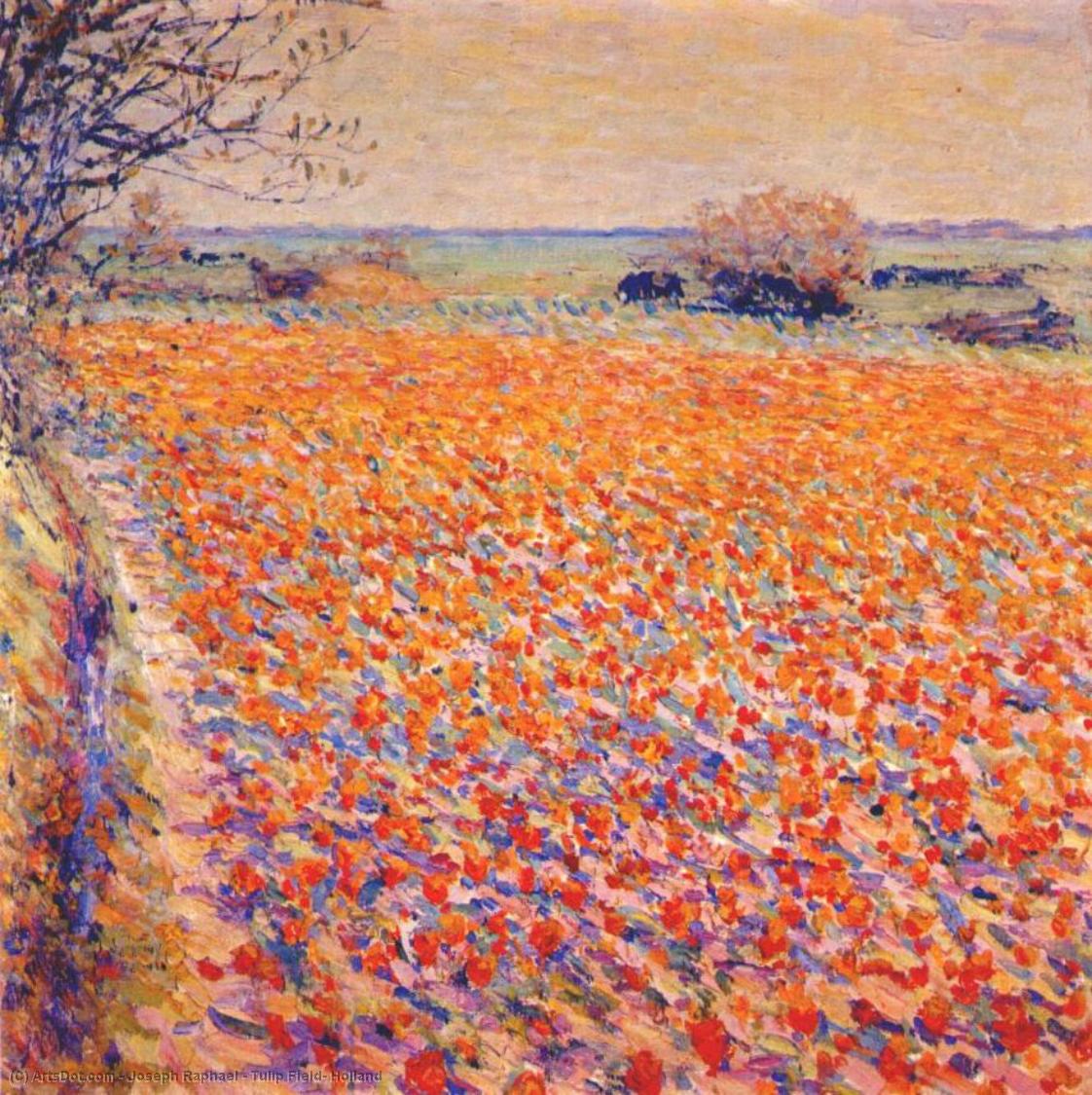 Tulip Field, Holland — Joseph M. Raphael