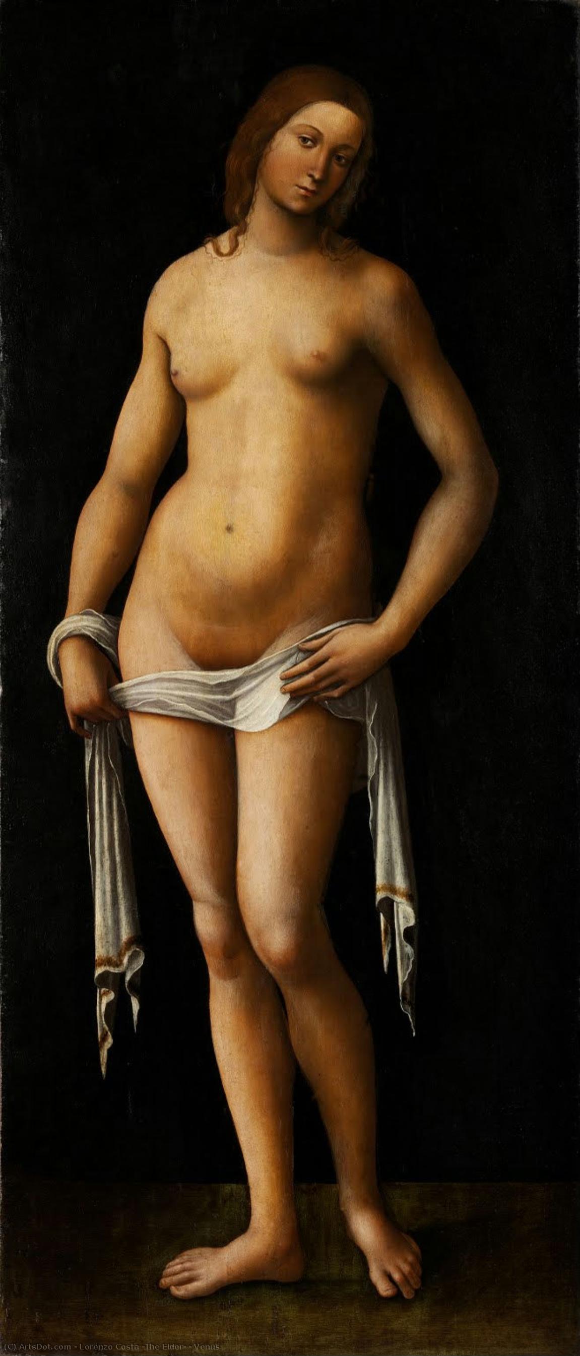 Venus — Lorenzo Costa (seniauja)