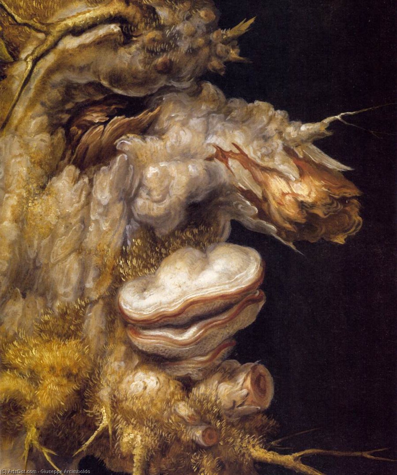 Winter (detail) — Arcimboldo